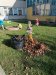 lienky_jesenvzahrade221121