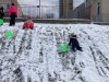 vcielky_nasnezilo-2303_10