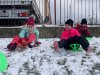 vcielky_nasnezilo-2303_15
