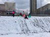 vcielky_nasnezilo-2303_7
