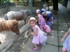 SAM_7832